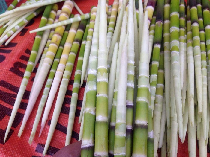 spécialités Mu Cang Chai pousse bambou